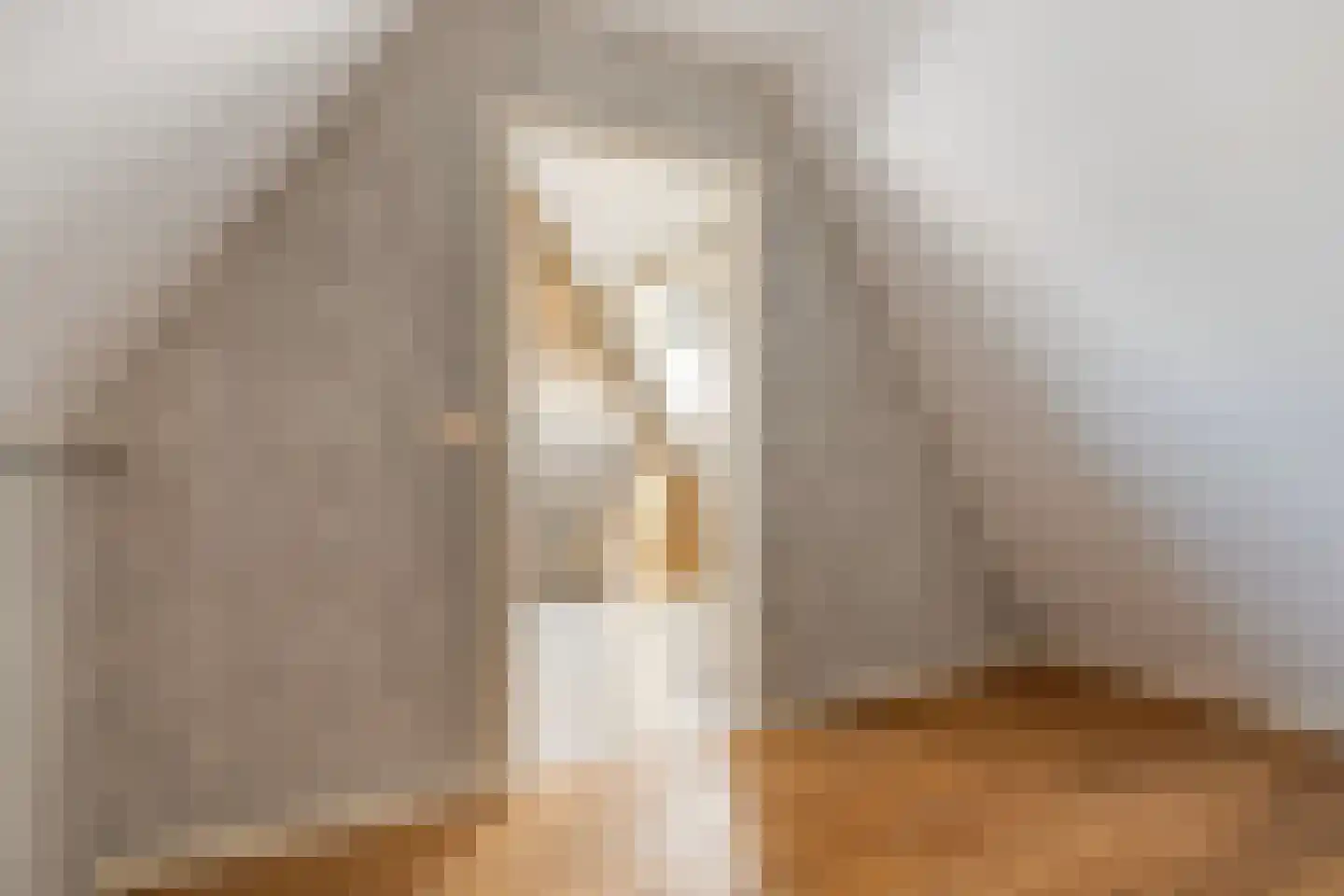 Moleneinde 19 Dwingeloo thumbnail 44