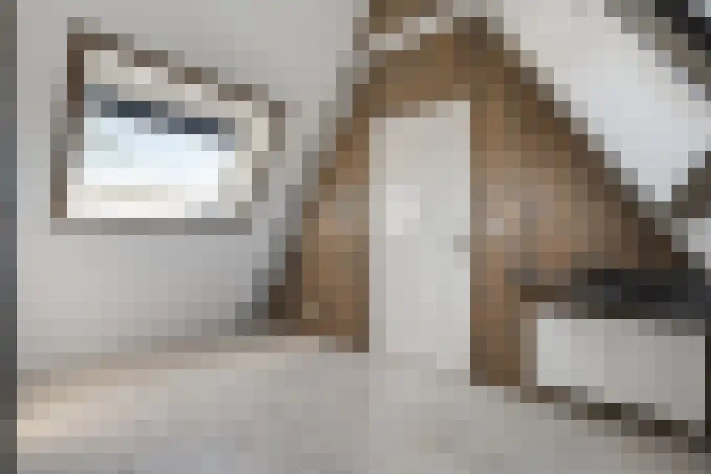 Moleneinde 19 Dwingeloo thumbnail 45