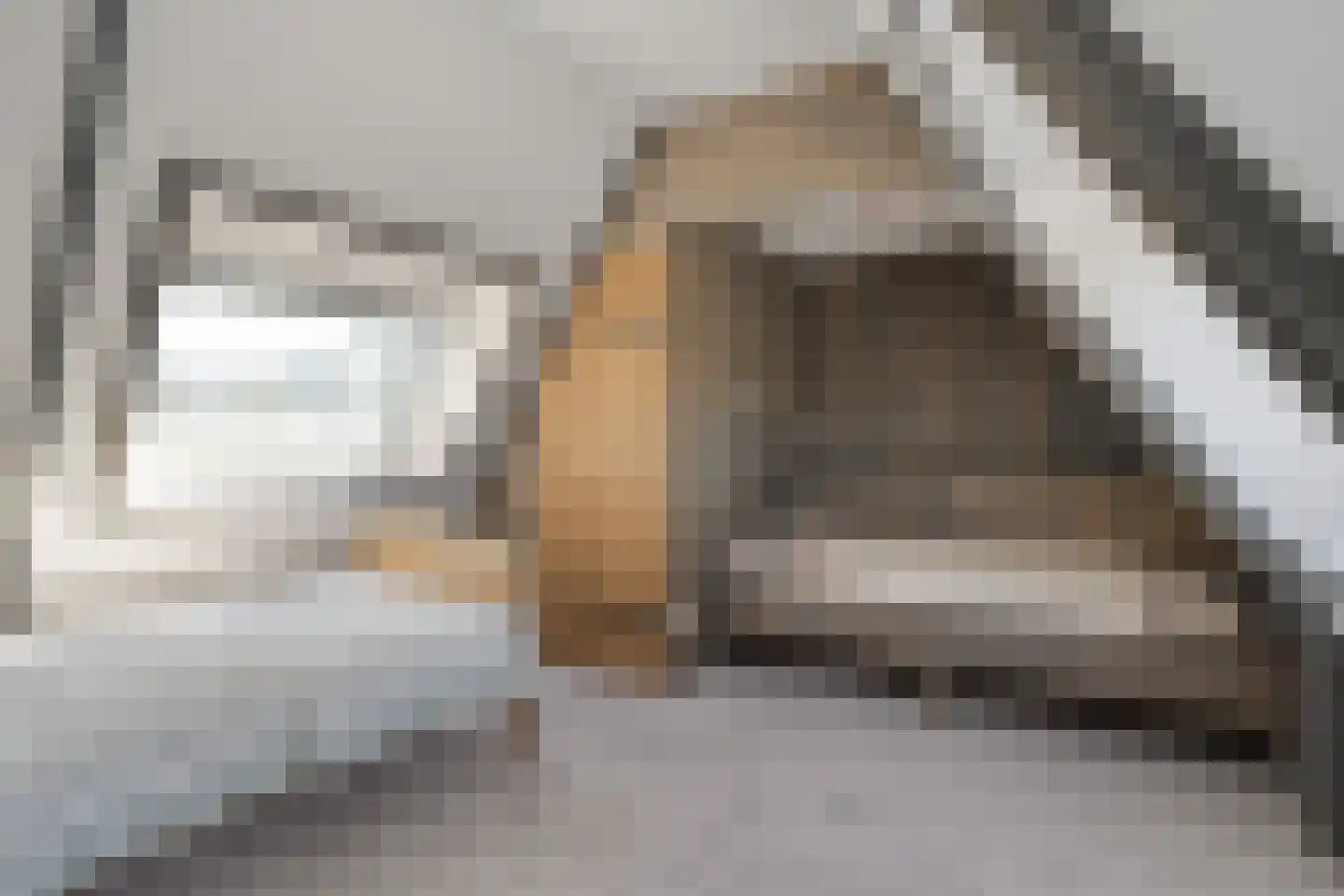 Moleneinde 19 Dwingeloo thumbnail 46