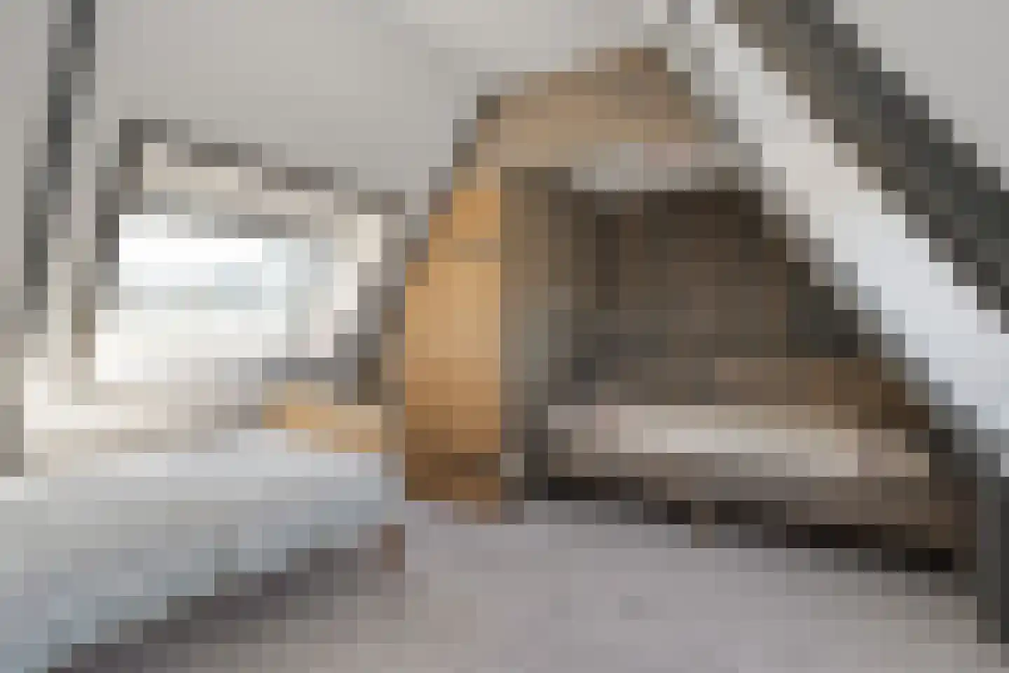 Moleneinde 19 Dwingeloo thumbnail 47