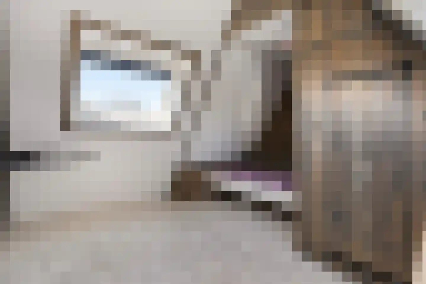 Moleneinde 19 Dwingeloo thumbnail 48