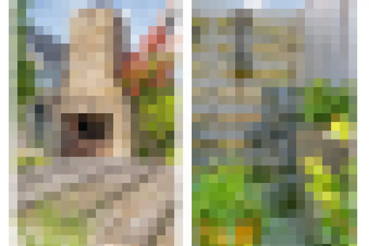 Moleneinde 19 Dwingeloo thumbnail 59