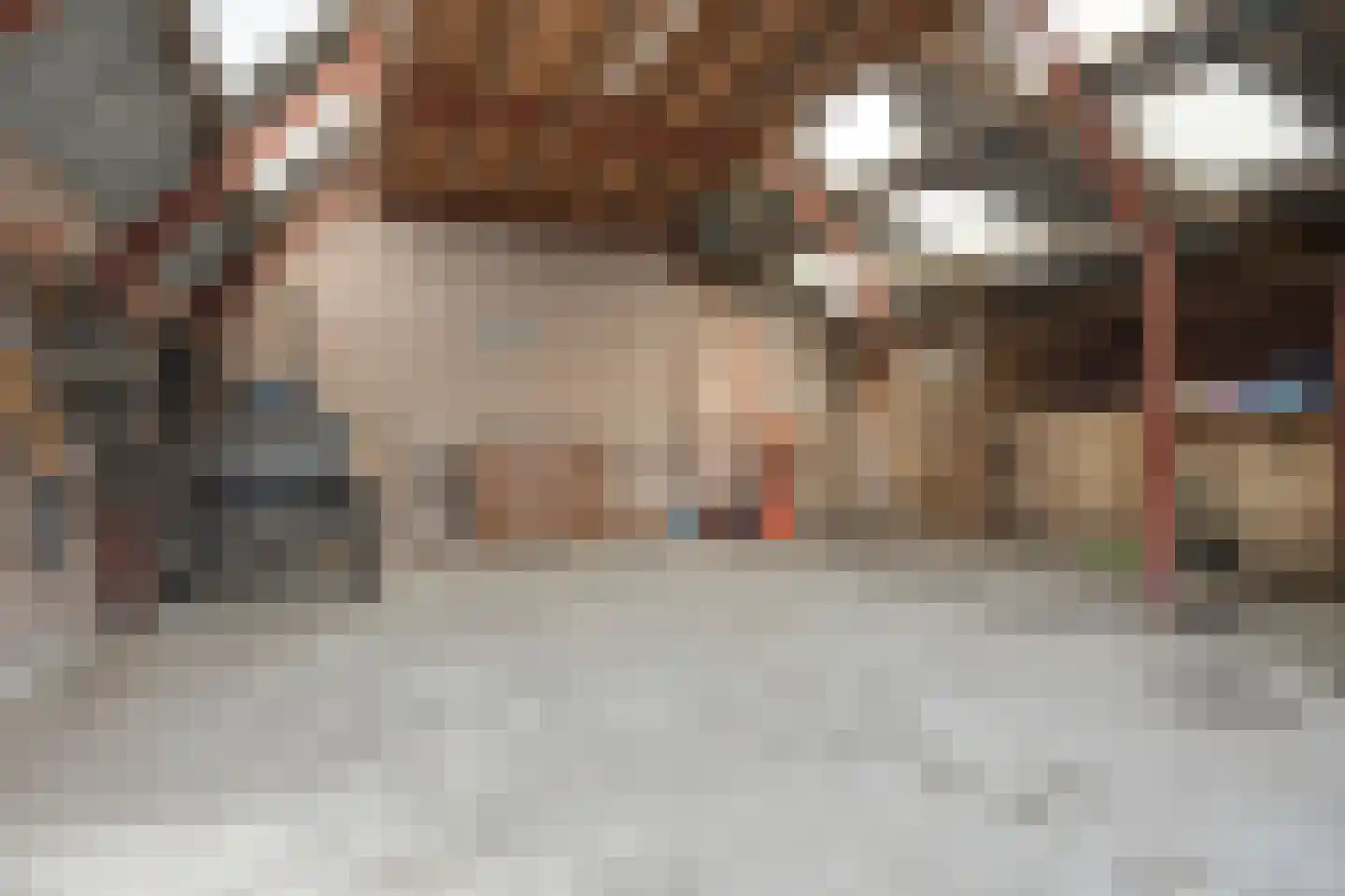 Moleneinde 31 Diever thumbnail 17