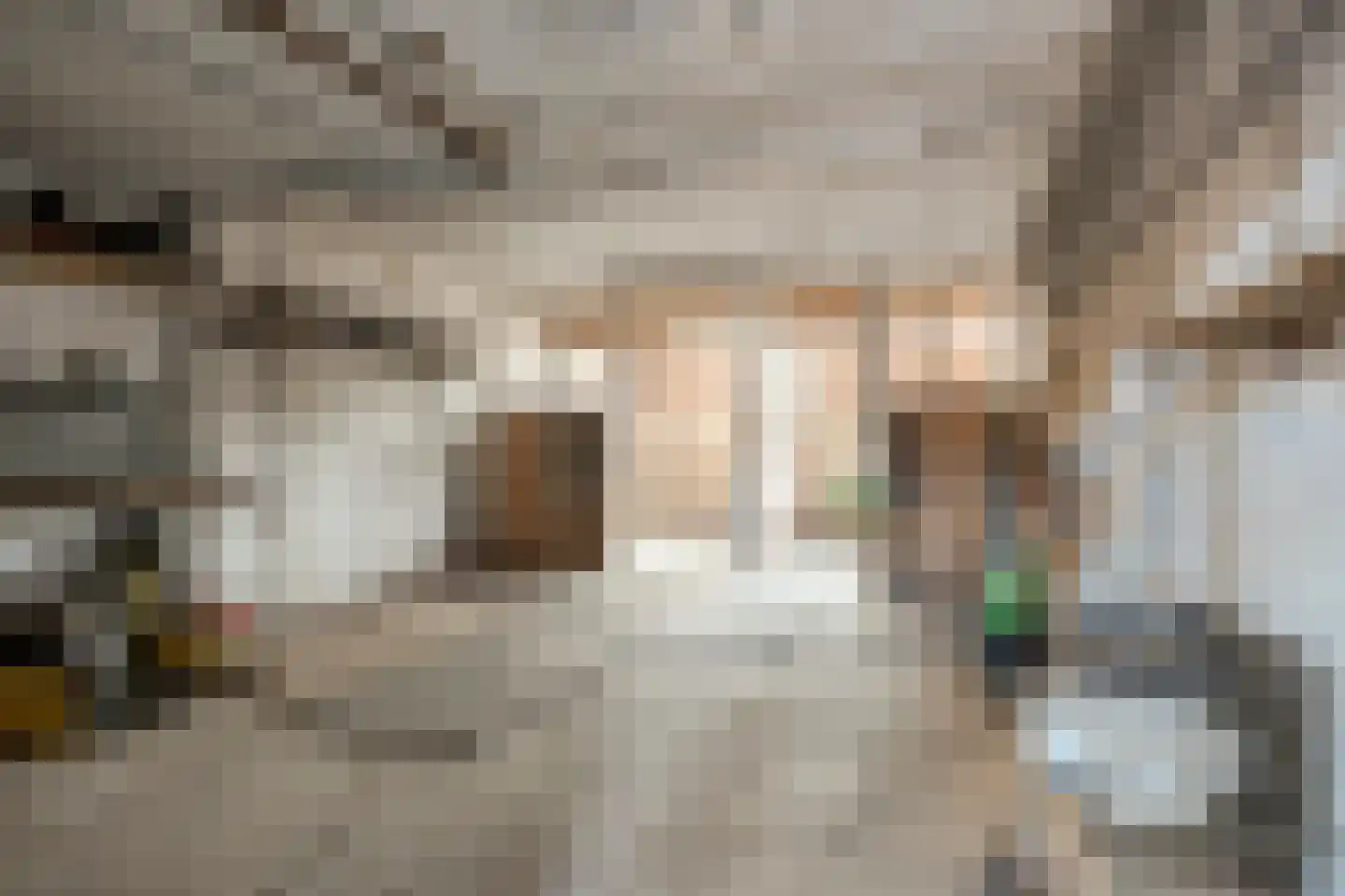 Moleneinde 31 Diever thumbnail 18
