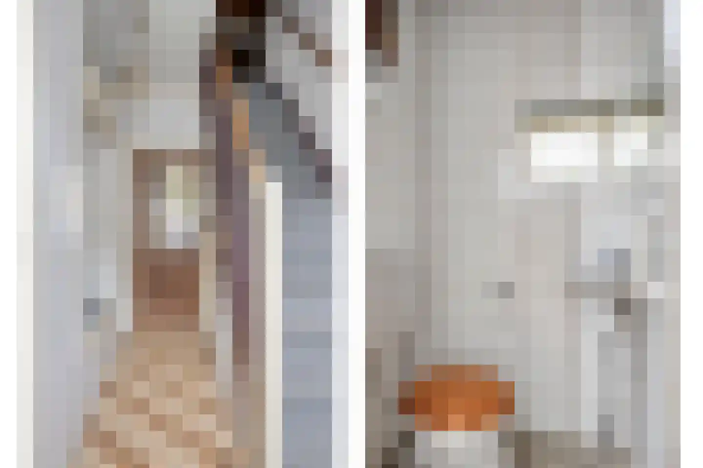 Moleneinde 31 Diever thumbnail 21