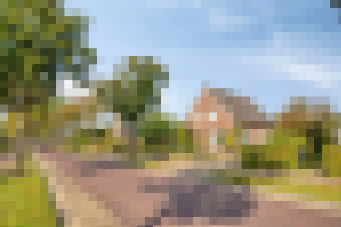 Moleneinde 31 Diever thumbnail 33