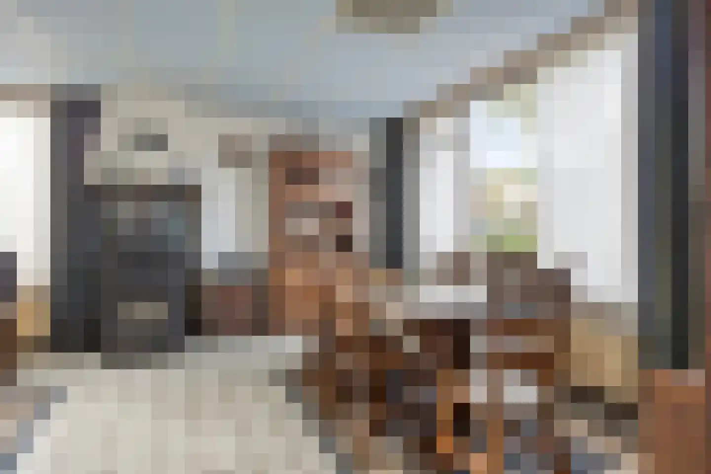 Moleneinde 31 Diever thumbnail 8