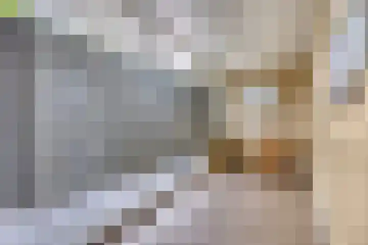 Moleneindplein 155 Vught thumbnail 21
