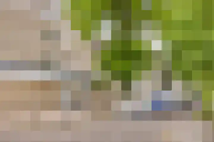 Moleneindplein 155 Vught thumbnail 24