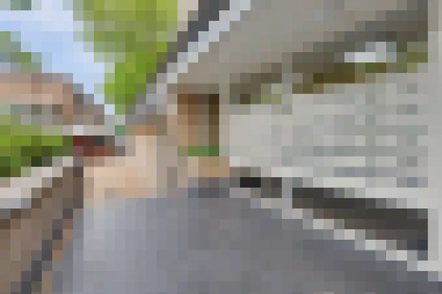 Moleneindplein 162 Vught thumbnail 34