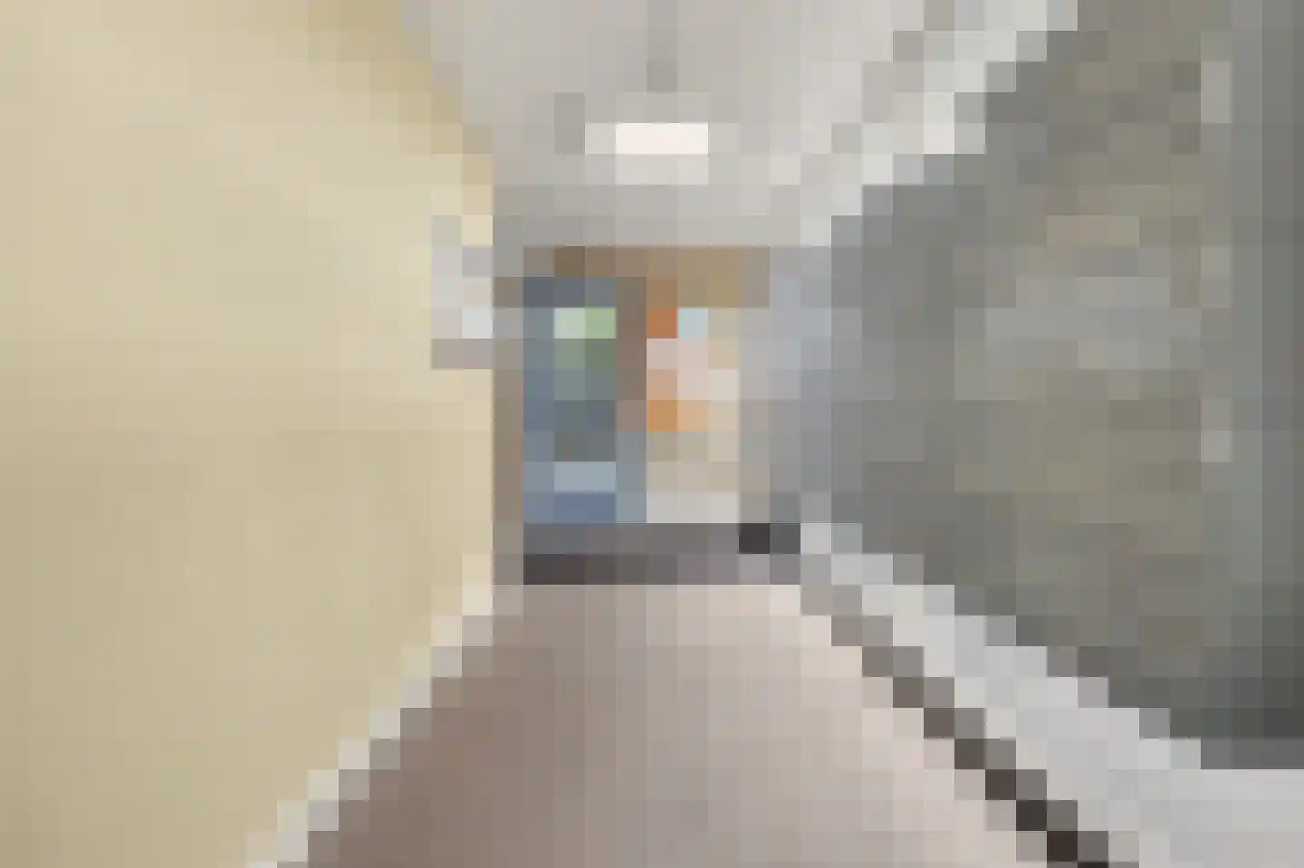 Moleneindplein 162 Vught thumbnail 35