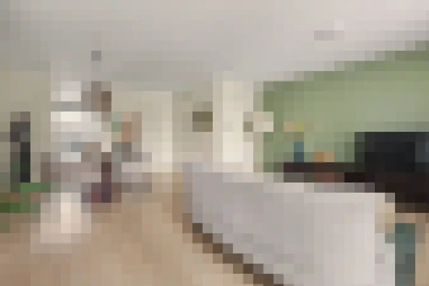 Moleneindplein 162 Vught thumbnail 4