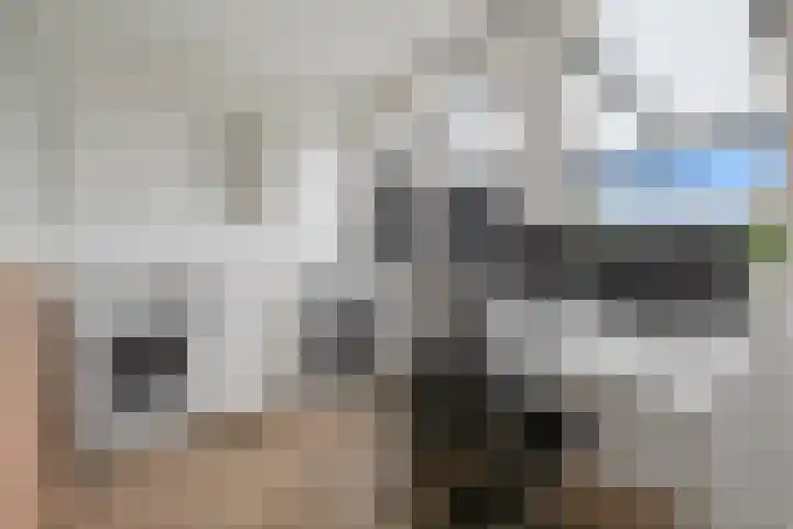 Moleneindplein 24 Vught thumbnail 12