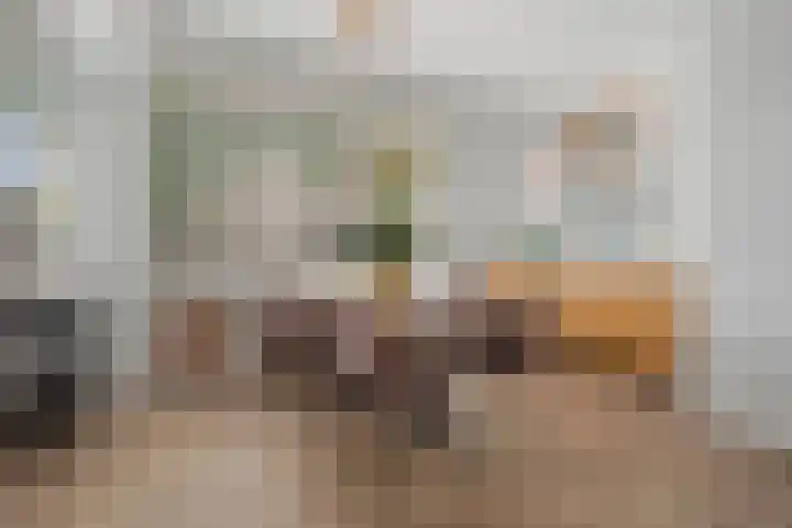 Moleneindplein 24 Vught thumbnail 6