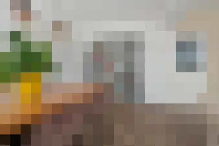 Moleneindplein 24 Vught thumbnail 7