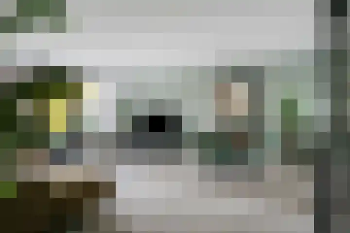 Moleneindplein 306 Vught thumbnail 6