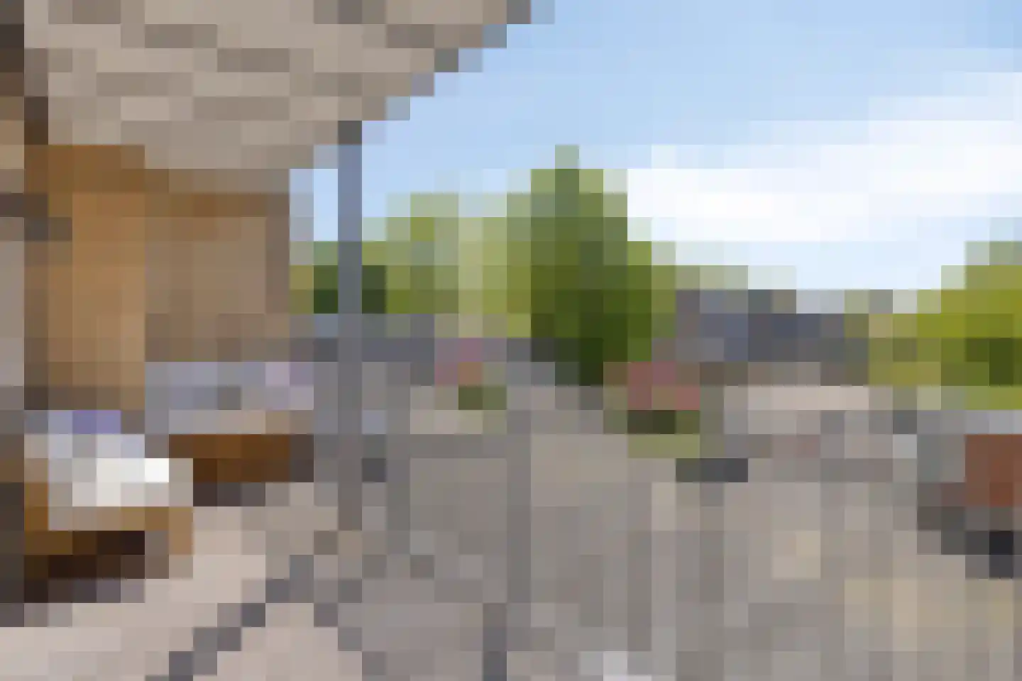 Moleneindplein 4 A Vught thumbnail 13