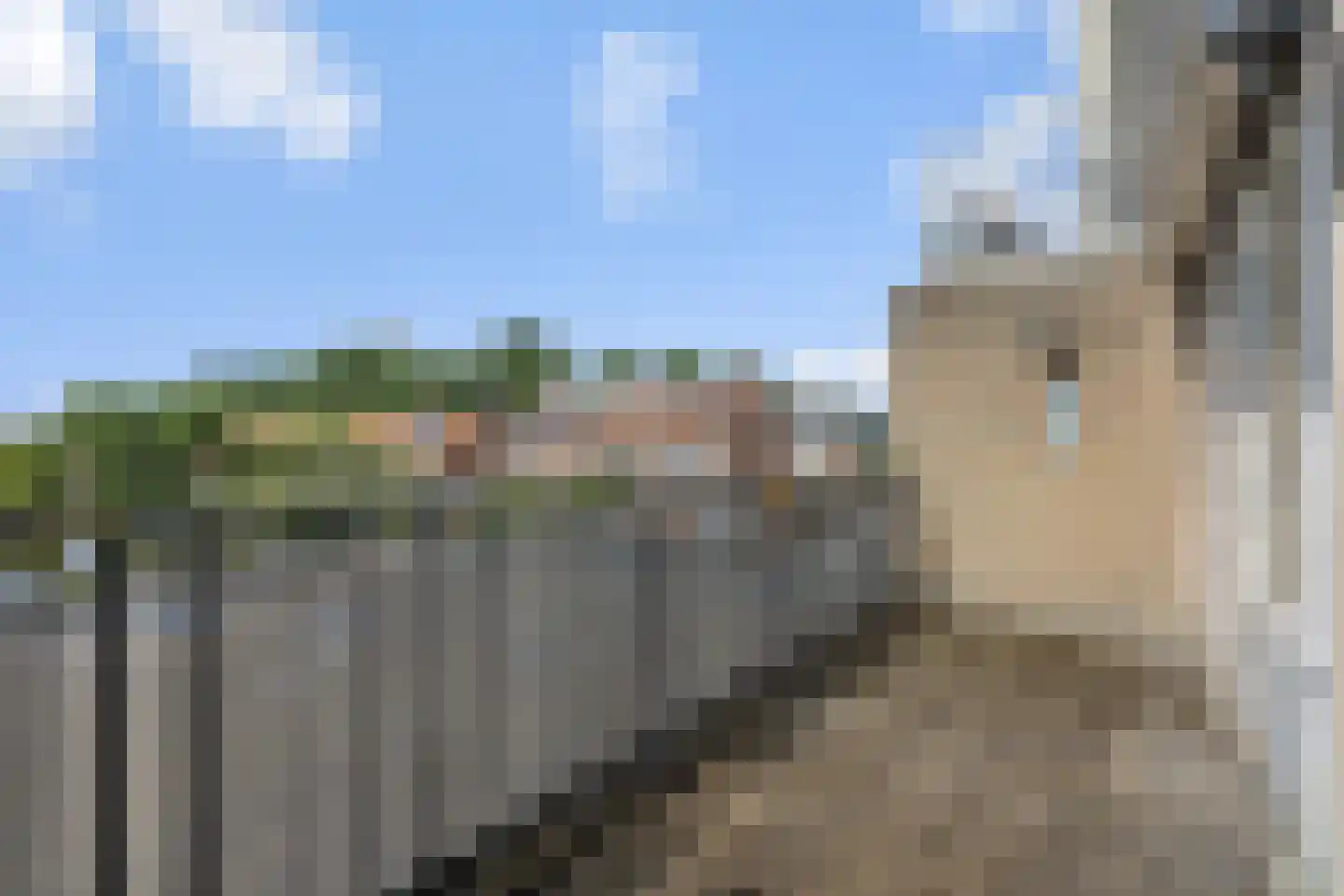 Moleneindplein 5 A Vught thumbnail 5