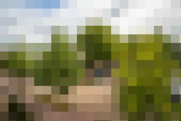 Moleneindplein 56 A Vught thumbnail 13