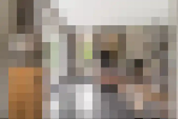 Moleneindsestraat 2 Hoeven thumbnail 11