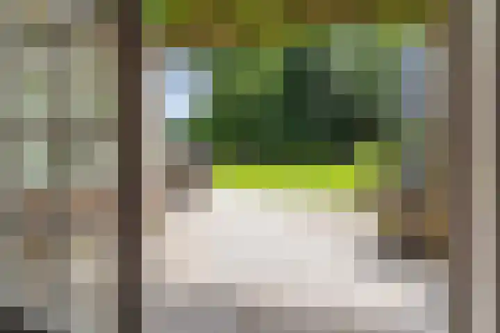Moleneindsestraat 2 Hoeven thumbnail 12