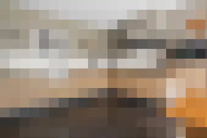 Moleneindsestraat 2 Hoeven thumbnail 15
