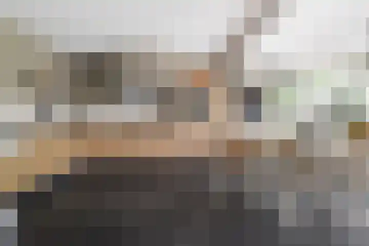 Moleneindsestraat 2 Hoeven thumbnail 16