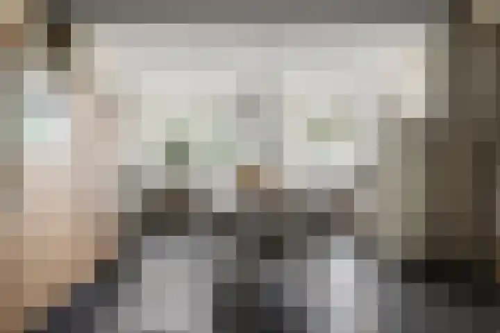 Moleneindsestraat 2 Hoeven thumbnail 17