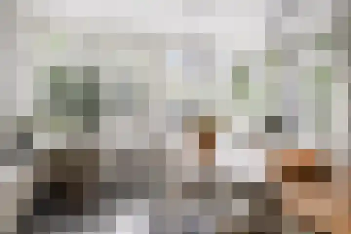 Moleneindsestraat 2 Hoeven thumbnail 18