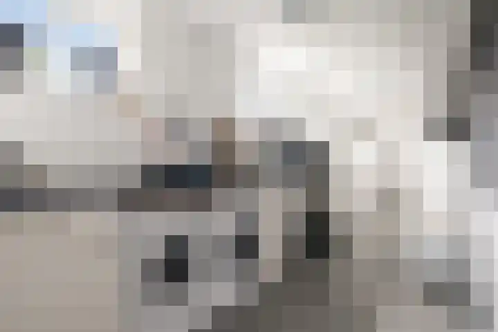 Moleneindsestraat 2 Hoeven thumbnail 23