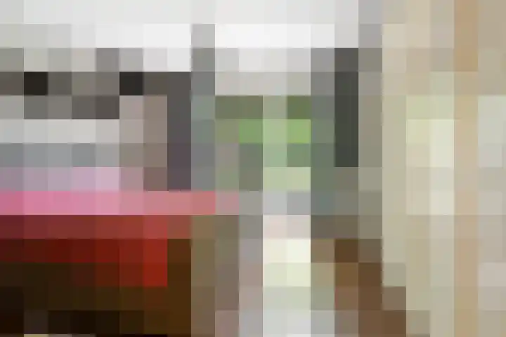 Moleneindsestraat 2 Hoeven thumbnail 24