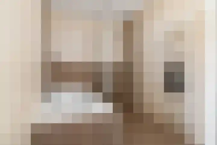 Moleneindsestraat 2 Hoeven thumbnail 28