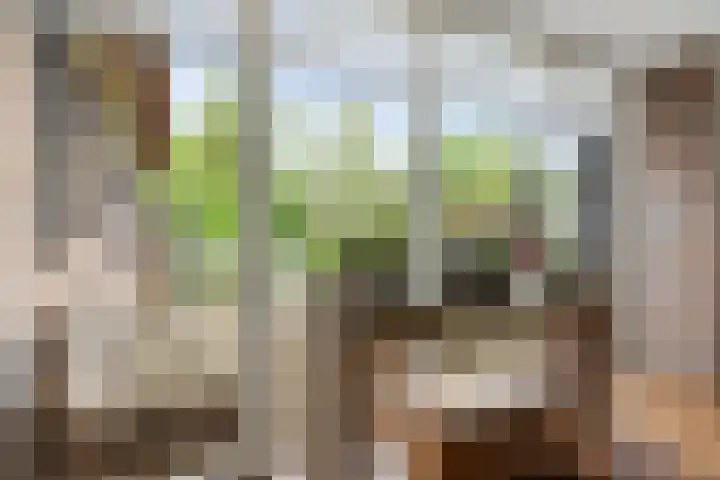 Moleneindsestraat 2 Hoeven thumbnail 31
