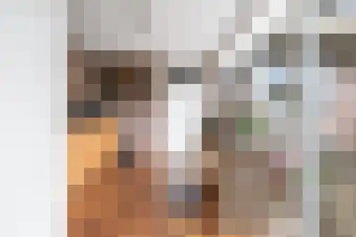 Moleneindsestraat 2 Hoeven thumbnail 32