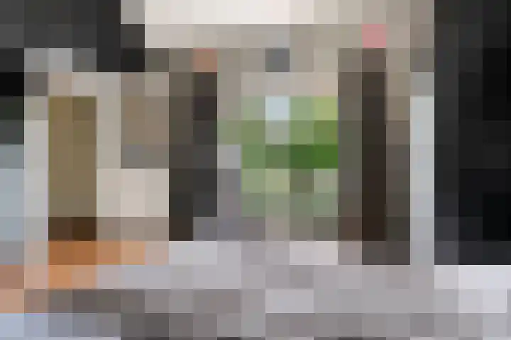 Moleneindsestraat 2 Hoeven thumbnail 39