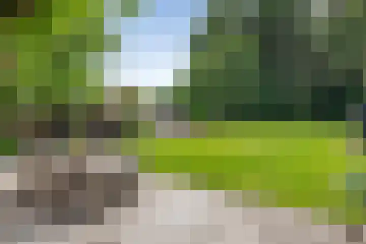 Moleneindsestraat 2 Hoeven thumbnail 4