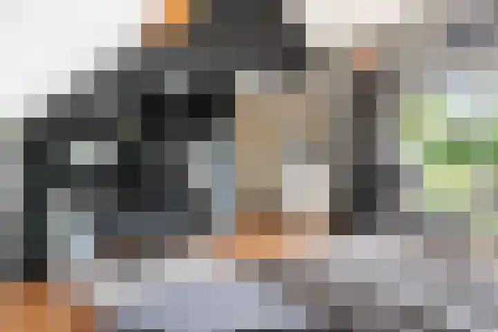 Moleneindsestraat 2 Hoeven thumbnail 40