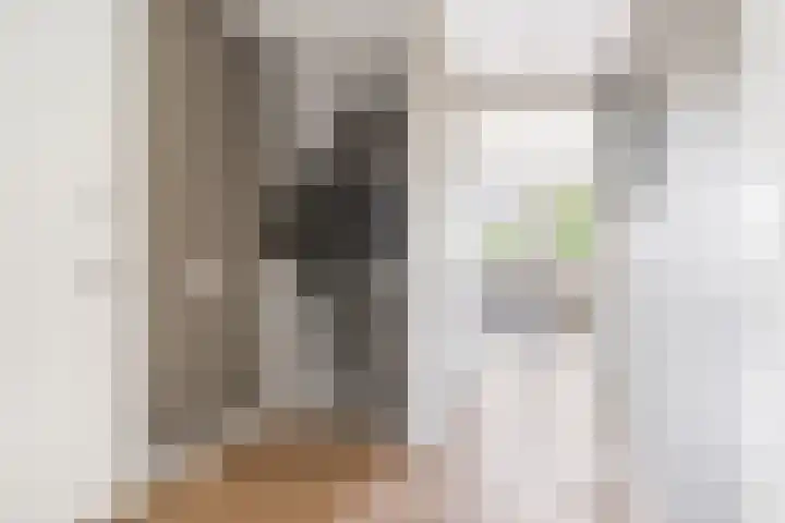 Moleneindsestraat 2 Hoeven thumbnail 41