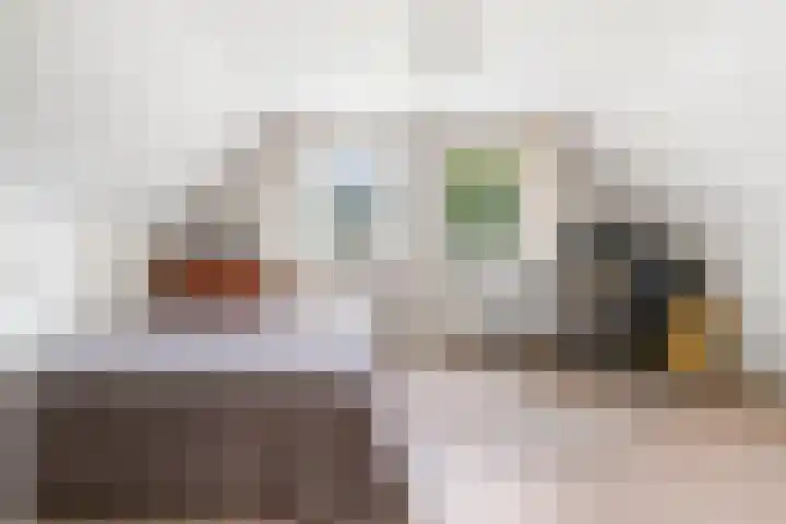 Moleneindsestraat 2 Hoeven thumbnail 42