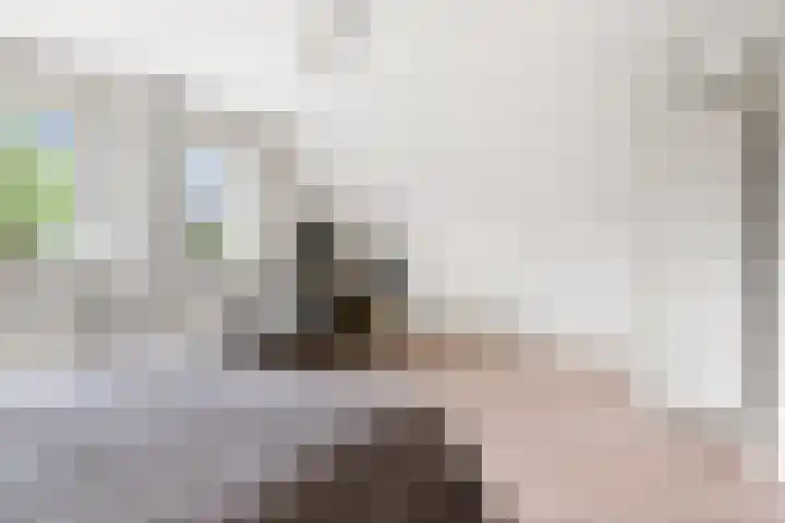 Moleneindsestraat 2 Hoeven thumbnail 43
