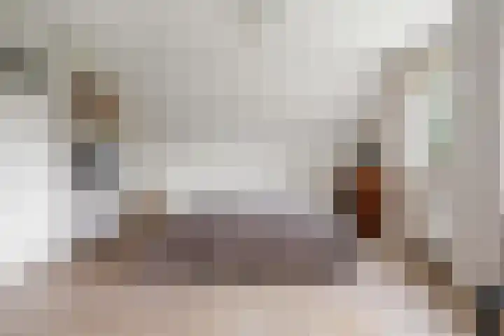 Moleneindsestraat 2 Hoeven thumbnail 44