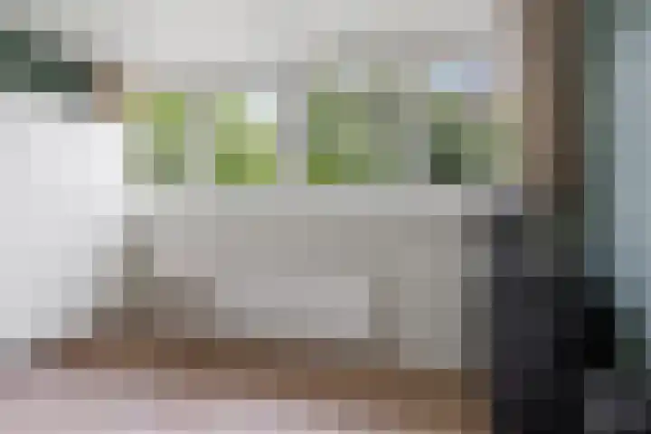 Moleneindsestraat 2 Hoeven thumbnail 48