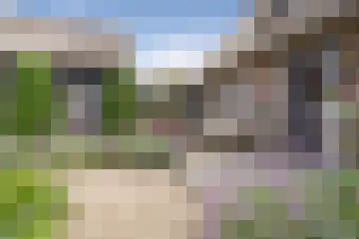 Moleneindsestraat 2 Hoeven thumbnail 5