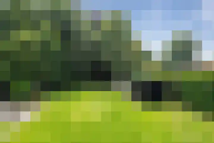 Moleneindsestraat 2 Hoeven thumbnail 51