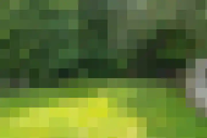 Moleneindsestraat 2 Hoeven thumbnail 52