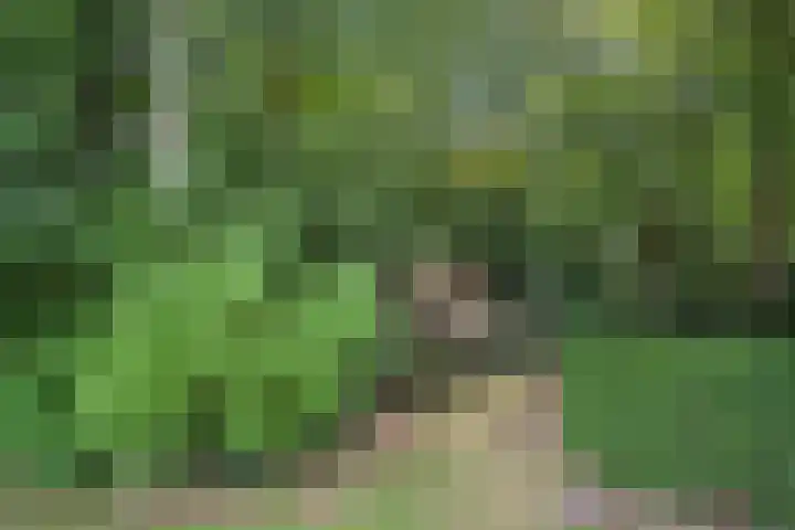 Moleneindsestraat 2 Hoeven thumbnail 53