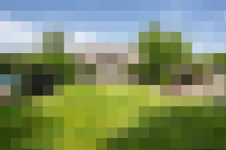 Moleneindsestraat 2 Hoeven thumbnail 55