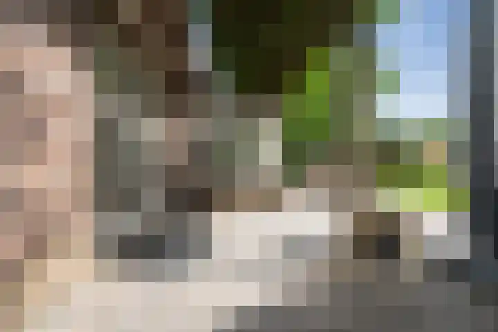 Moleneindsestraat 2 Hoeven thumbnail 57