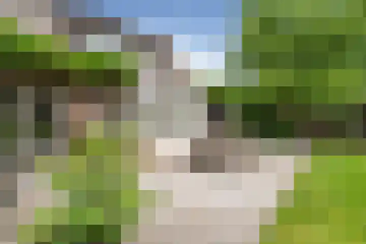 Moleneindsestraat 2 Hoeven thumbnail 58