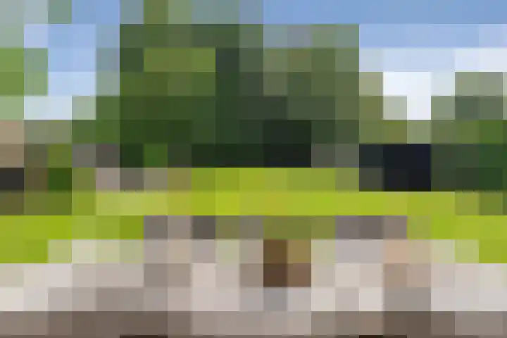 Moleneindsestraat 2 Hoeven thumbnail 59